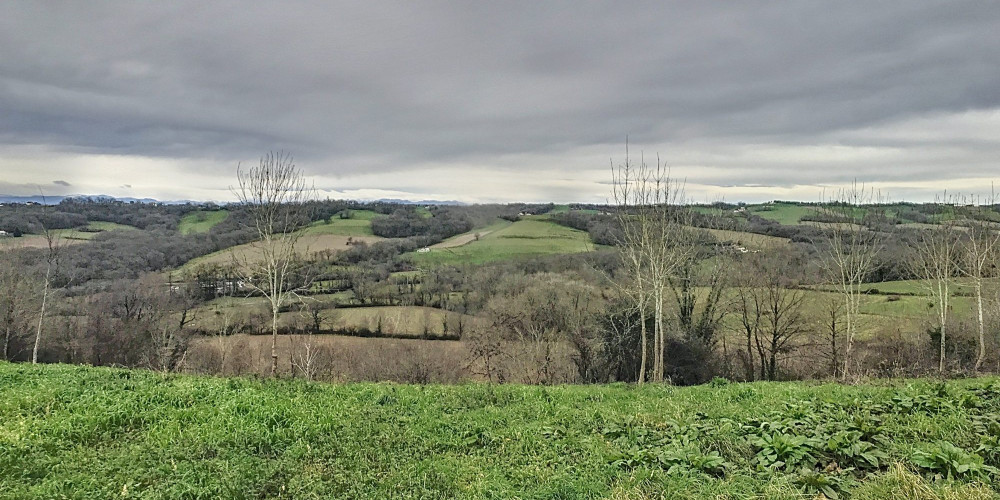 terrain à LAGOR (64150)