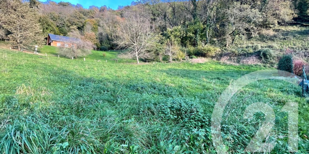 terrain à LOURDES (65100)