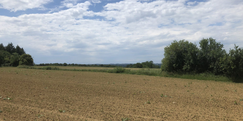 terrain à LEMBEYE (64350)