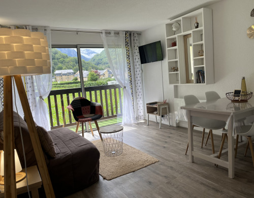 appartement  ST LARY SOULAN