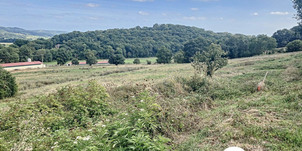 terrain à GARLIN (64330)