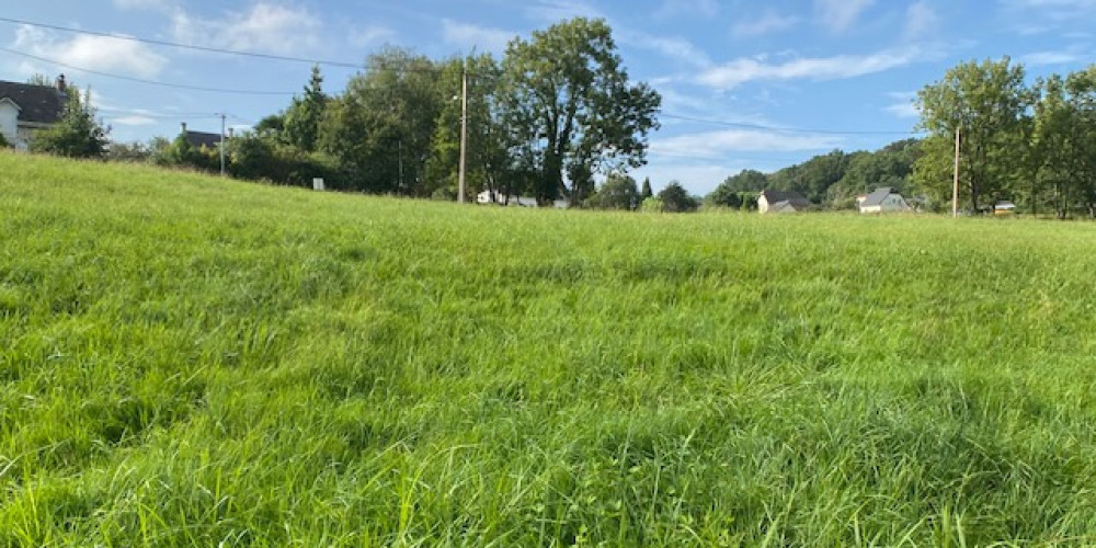 terrain à ARCIZAC ADOUR (65360)