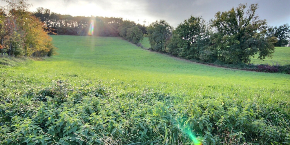 terrain à GARLIN (64330)