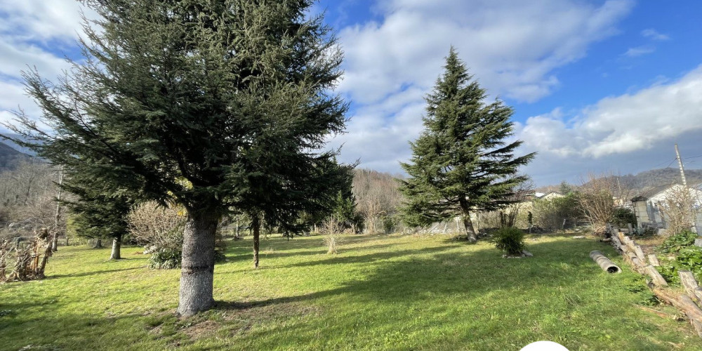 terrain à IZESTE (64260)